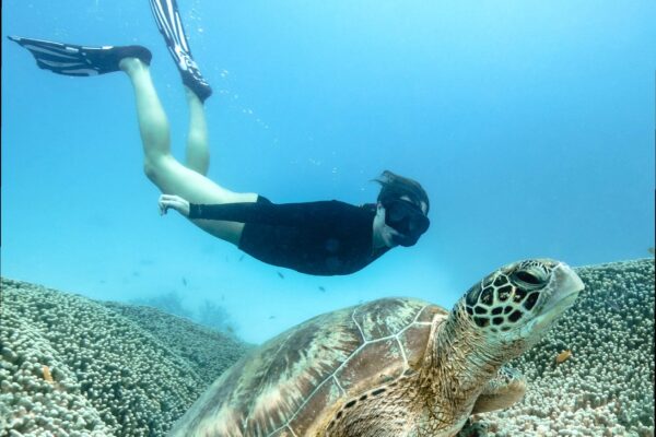 Guide to the Southern Great Barrier Reef