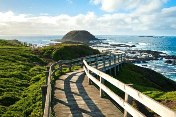 Waterline Trail: Coastal Walk and Scenic Views