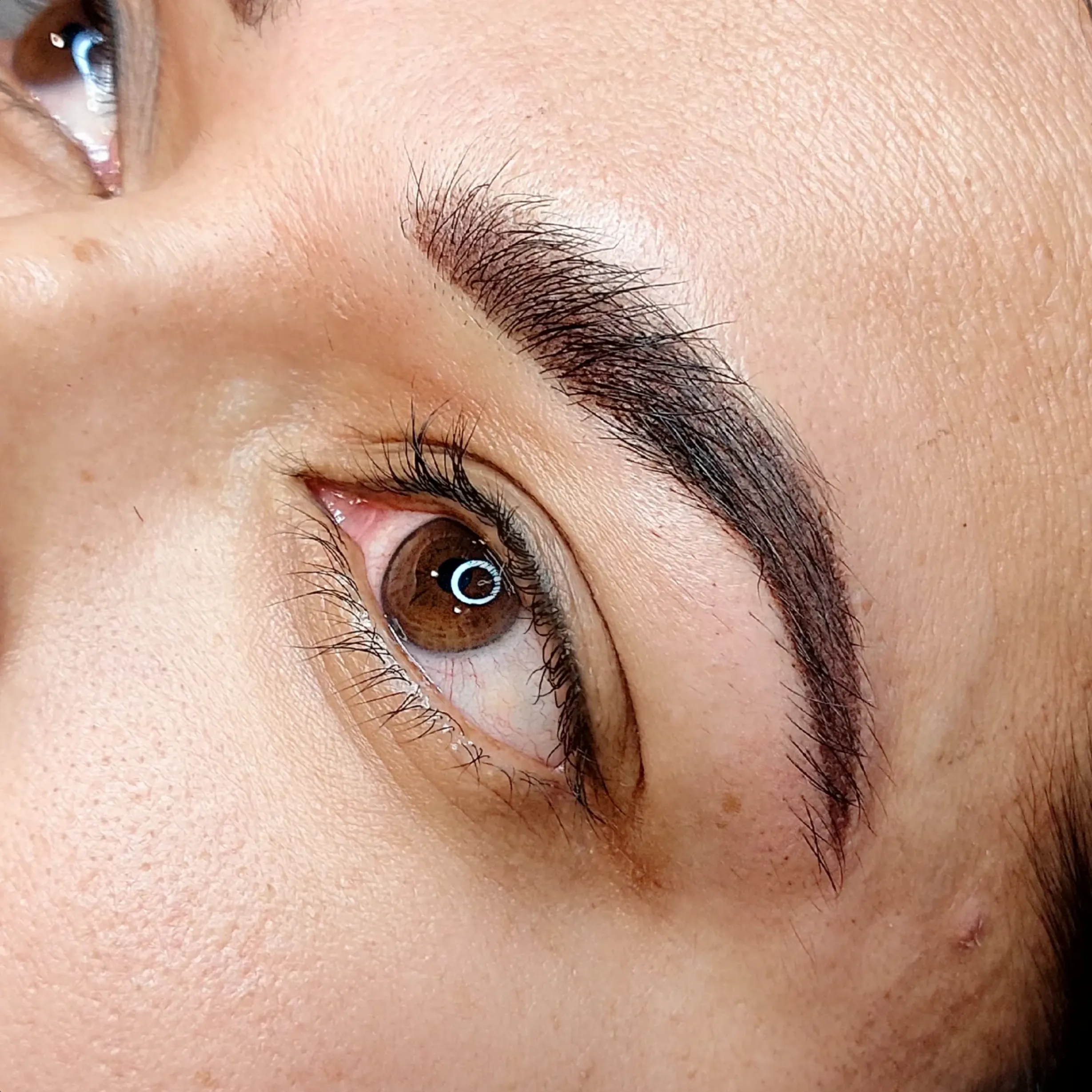 cosmetic tattooing industry