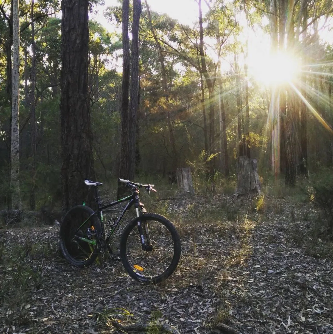 The core trails are worth a spin