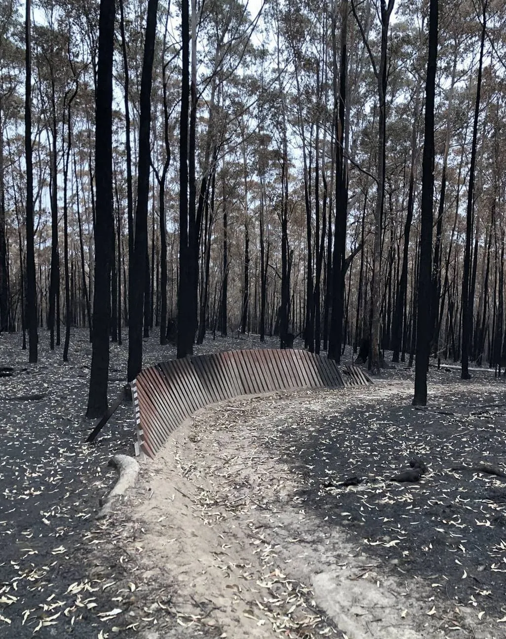 What You’ll Ride, Trail types and the Waterline vibe