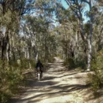 how to get to blue mountains from sydney