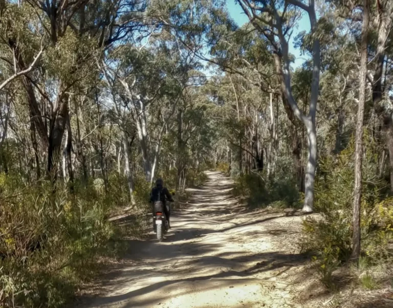how to get to blue mountains from sydney