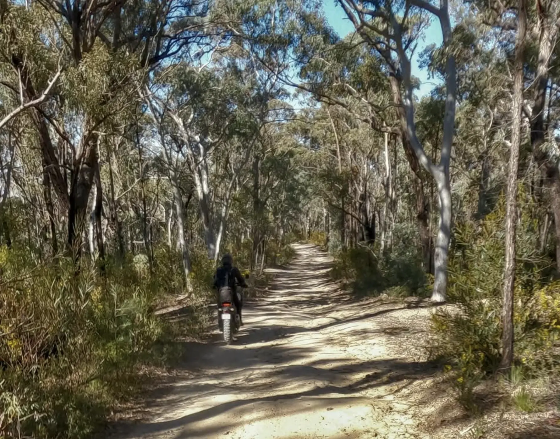 how to get to blue mountains from sydney
